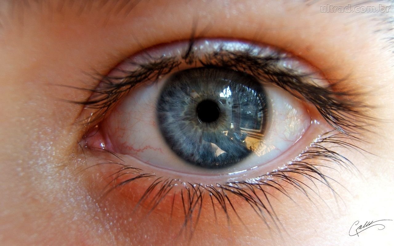 VIDEO - DE OLHO NAS OBRIGAÇÕES -  Sistema Descomplicado 